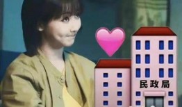 娱乐吃瓜君顶流,顶流明星背后的故事与真相